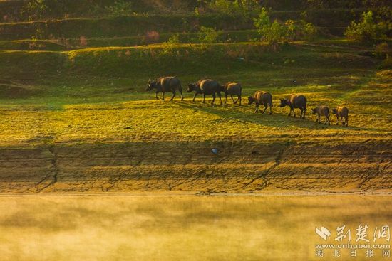 5Z0A6243 拷貝.jpg.jpg