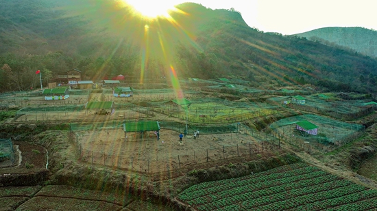 最美白雉山  羅  琳 攝.jpg