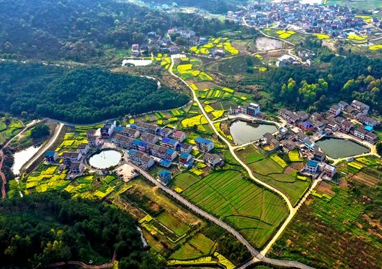 春滿汀祖  孟  靖 攝.jpg.jpg