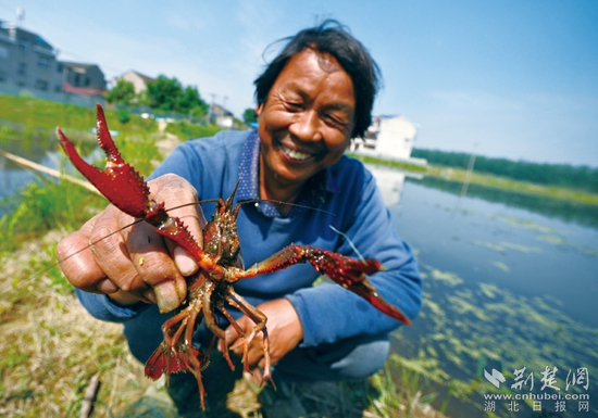 12-3 龍蝦展示.JPG