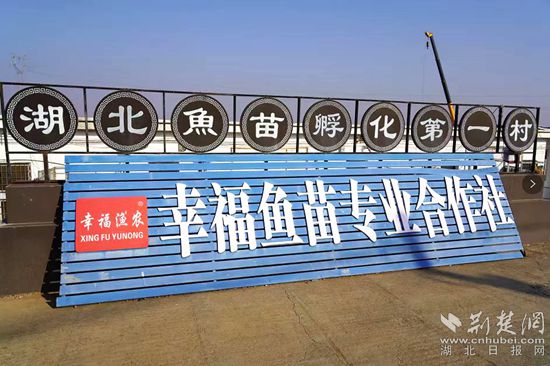 6、湖北魚苗第一村_副本.jpg
