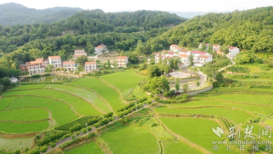 余川鎮(zhèn)美麗鄉(xiāng)村建設(shè) (2).jpg