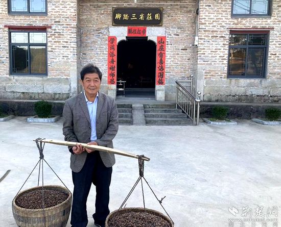 何道關(guān)與自己種的油茶果。黃錚 攝_副本.jpg.jpg