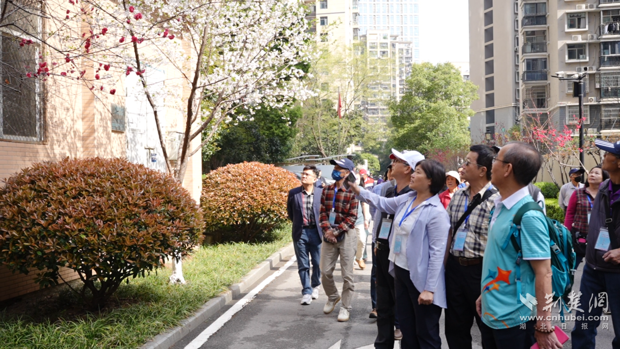 C:/Users/86186/AppData/Local/Temp/picturecompress_20250325134541/output_1.pngoutput_1