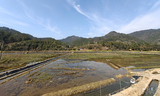 準(zhǔn)備打造的高標(biāo)準(zhǔn)農(nóng)田.jpg
