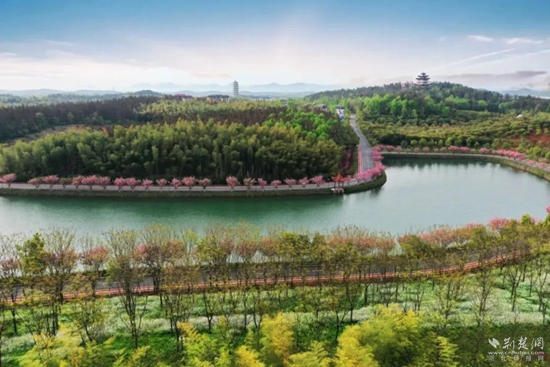 文旅11.jpg